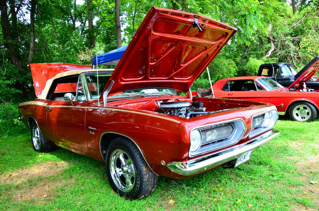 1968 Plymouth Barracuda Under the Trees