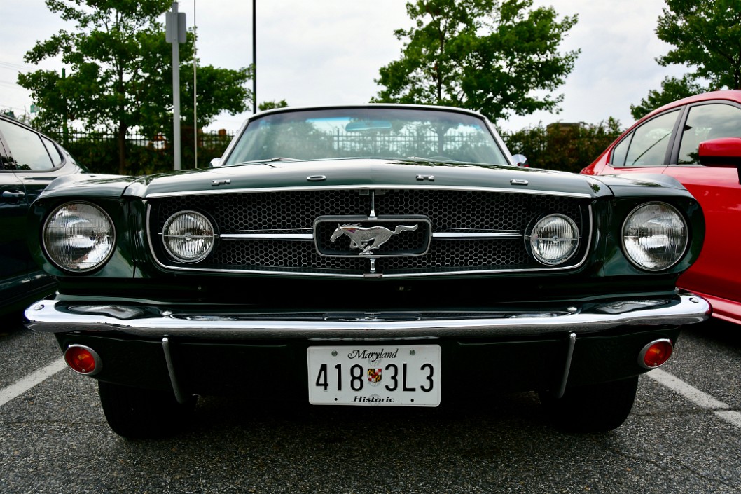 1965 Ford Mustang Convertible in Ivy Green