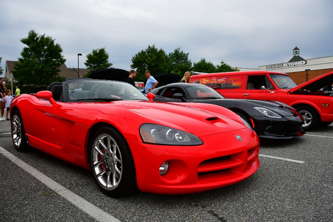 His and Her Vipers