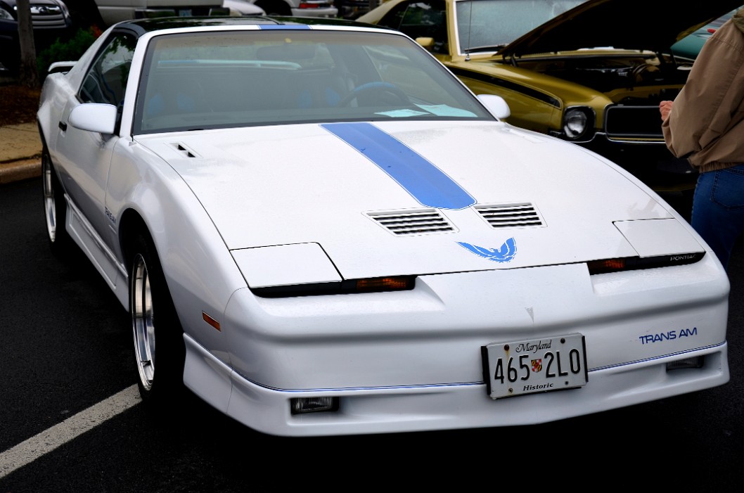 White Trans Am With Blue Stripe White Trans Am With Blue Stripe