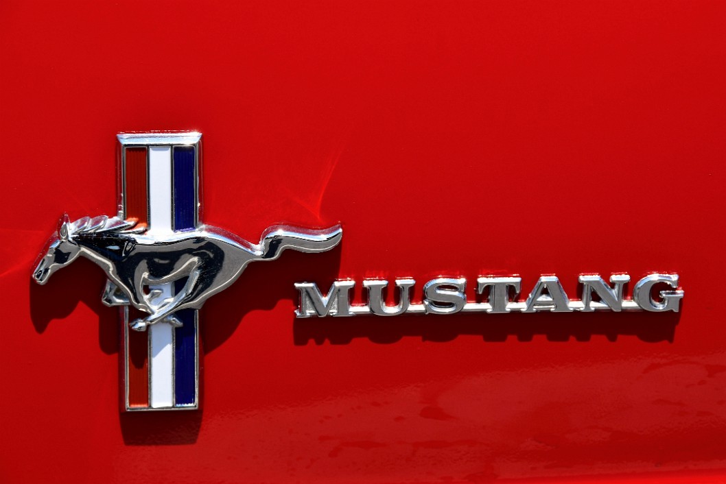 Mustang on Red