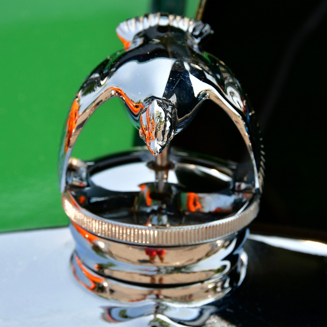 Bird Ornament on the Green Model A