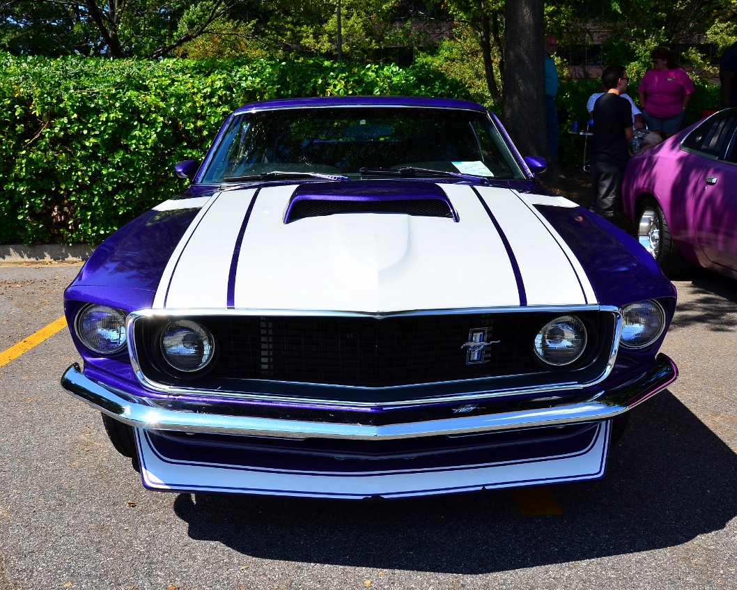 Broad White Stripes