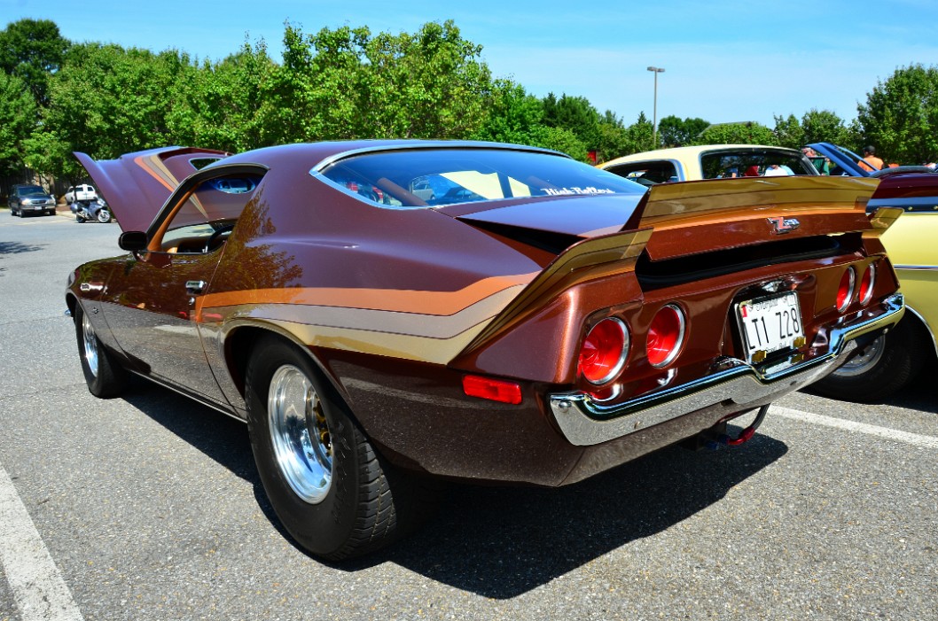 Brown and Gold Z-28 Rear Profile Brown and Gold Z-28 Rear Profile