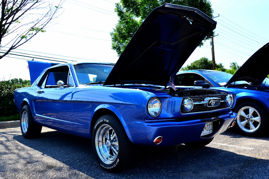 Classic Mustang in Blue Classic Mustang in Blue
