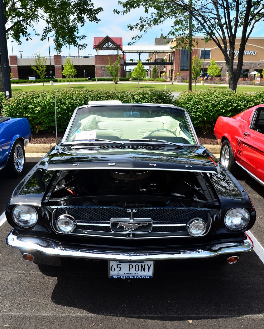 1965 Mustang in Black 1965 Mustang in Black