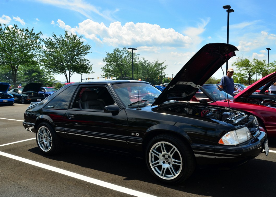 1989 Mustang 5.0 1989 Mustang 5.0