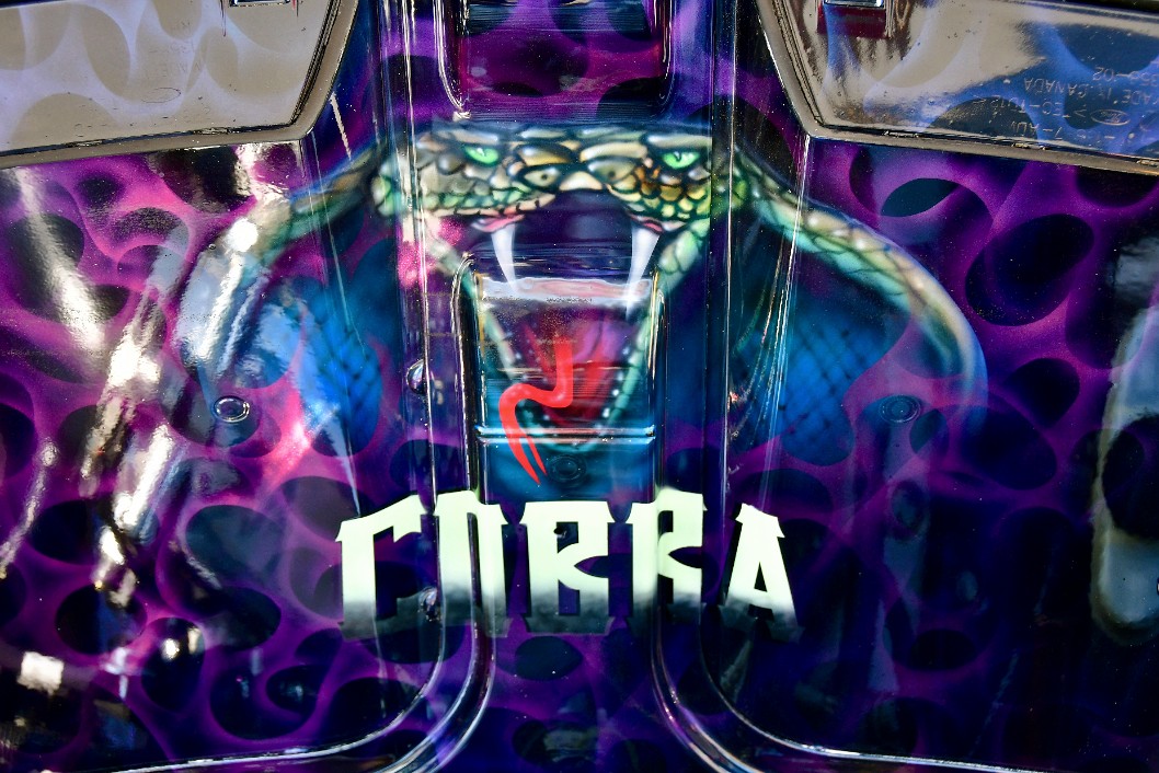 Cobra Painted