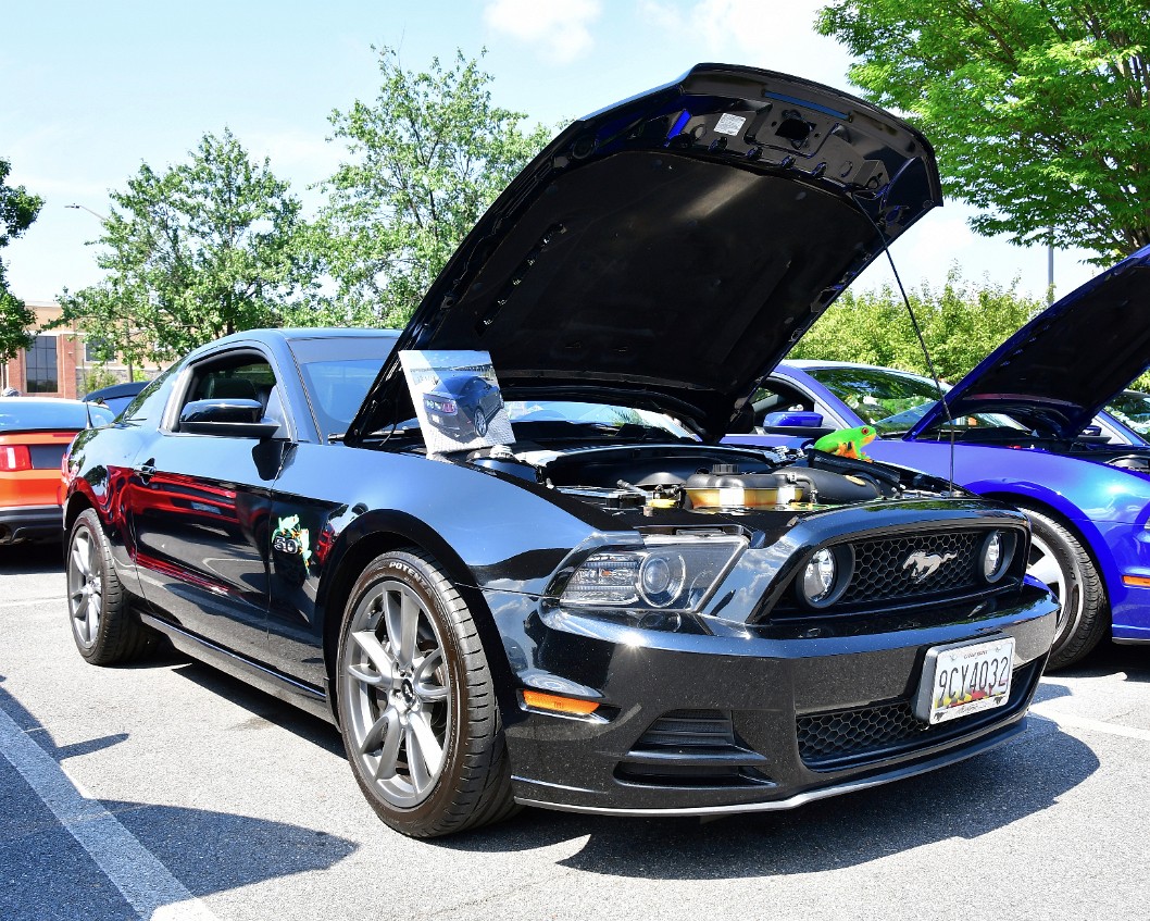 2014 Mustang GT in Black