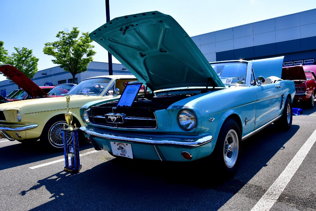 1965 Ford Mustang Convertible in Tropical Turquoise