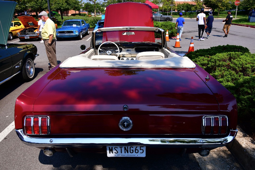 1965 Mustang Convertible in Vintage Burgandy