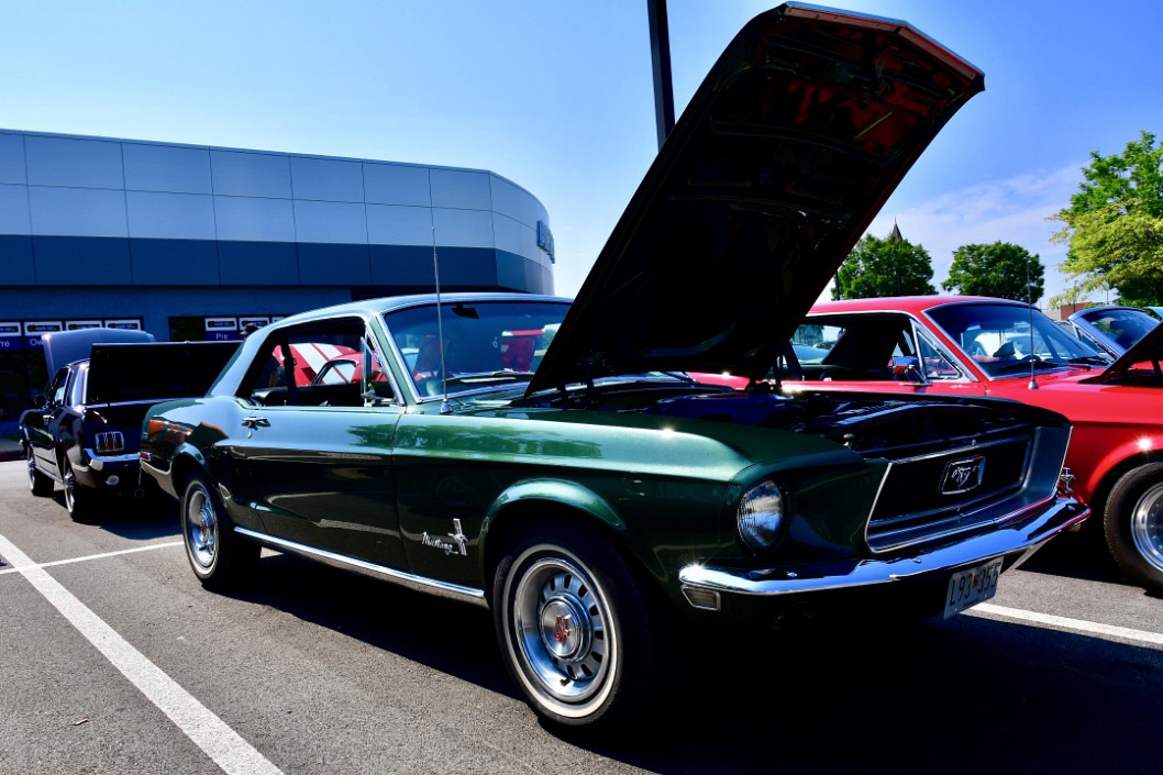 1968 Single Owner Mustang