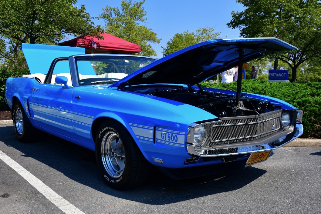 1969 Shelby GT500 Convertible in Gorgeous Blue