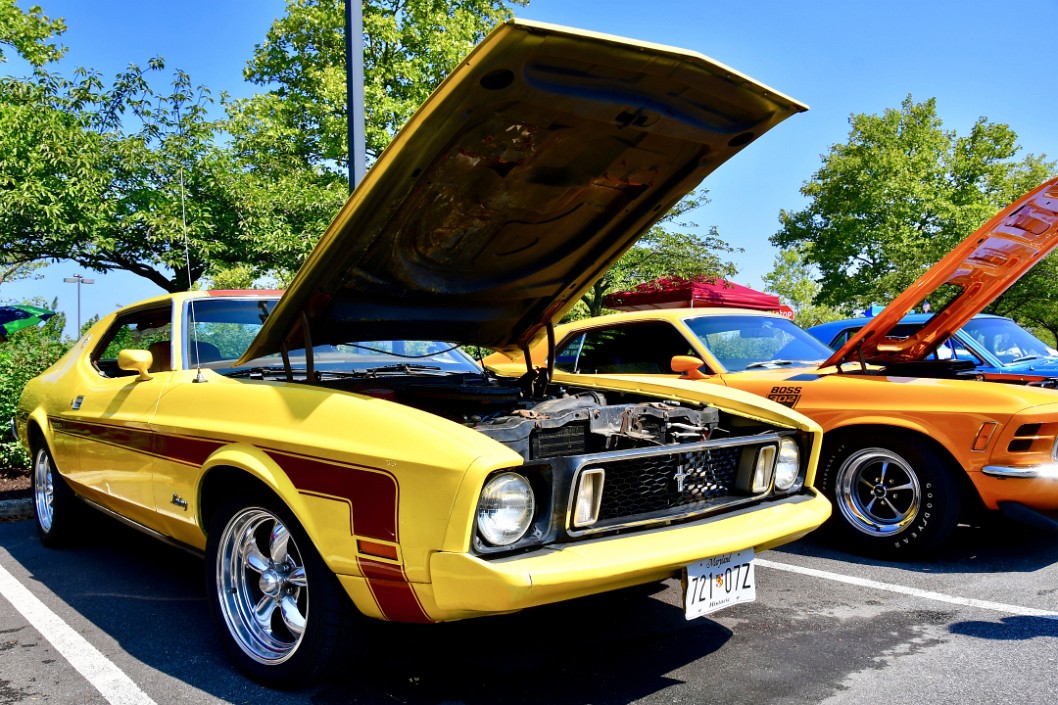 1973 Mustang in Yellow and Brown