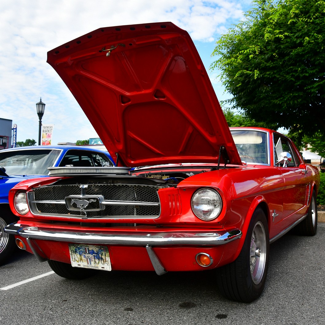 1966 Ford Mustang Like a Red Pony