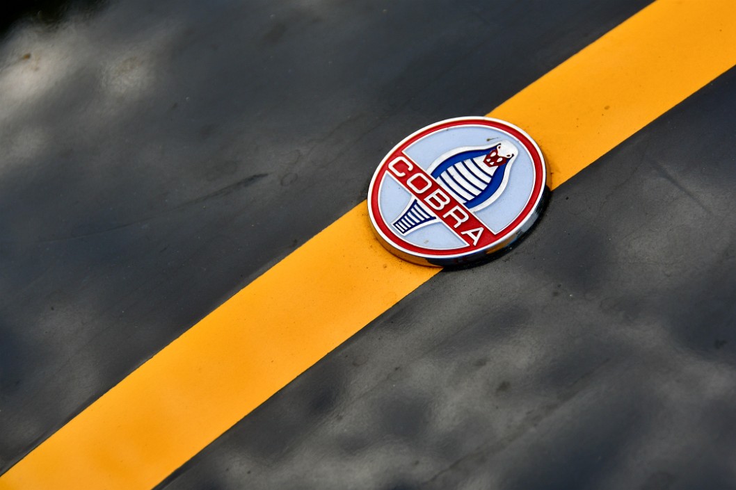 Cobra Badge on a Yellow Line