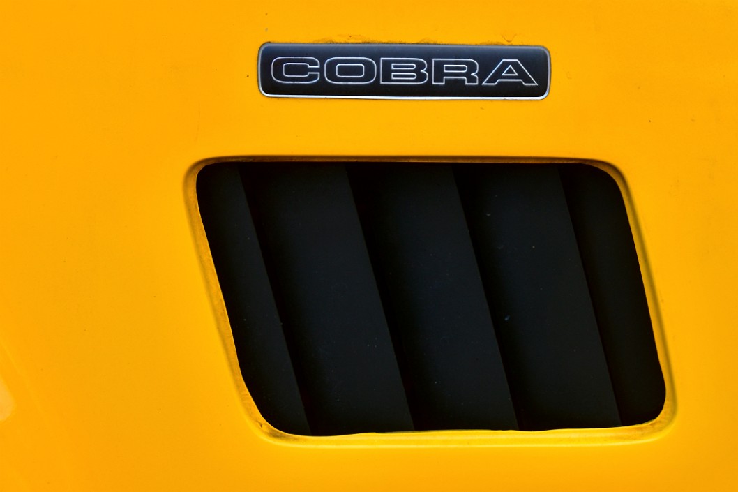 Cobra Vent