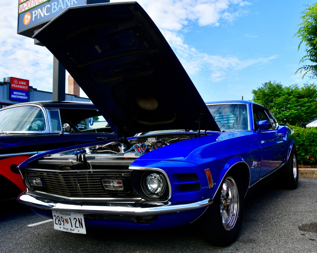 Glorious Blue Mustang Mach 1