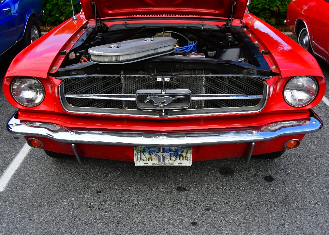 Red Mustang Front End