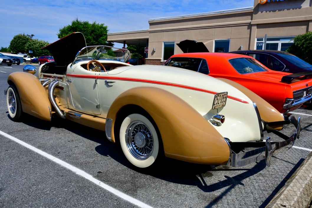 Sleek Auburn Rear Side Profile