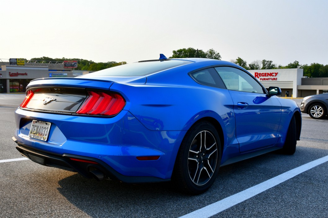 Clean Blue Mustang Rear Profile