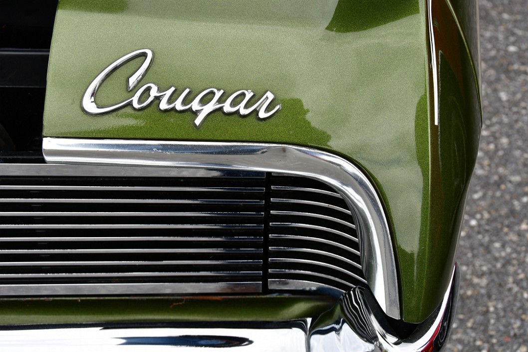 Cougar Over Grille