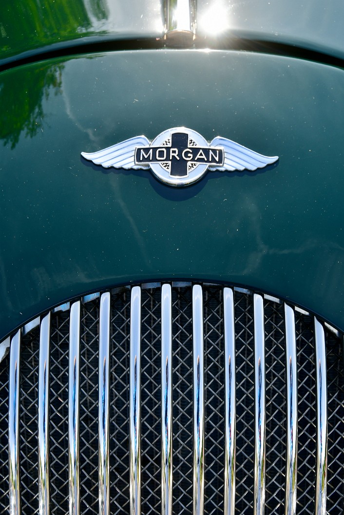 Badge and Grille