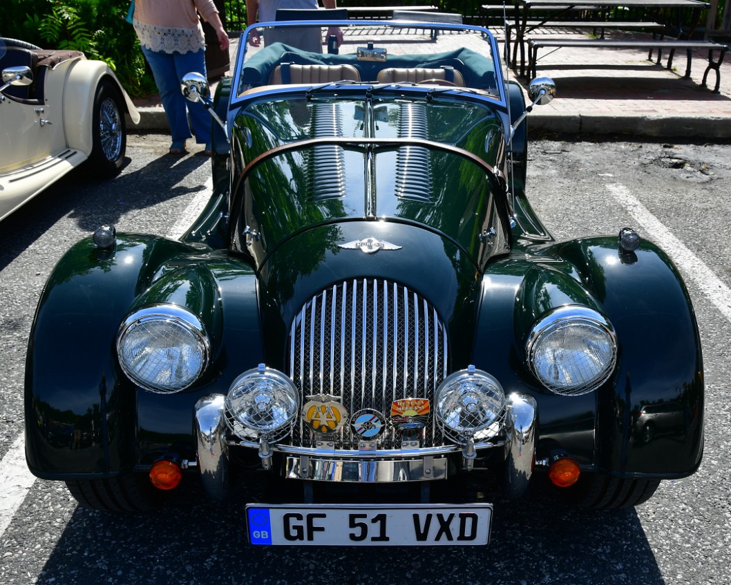 Lovely Green Morgan