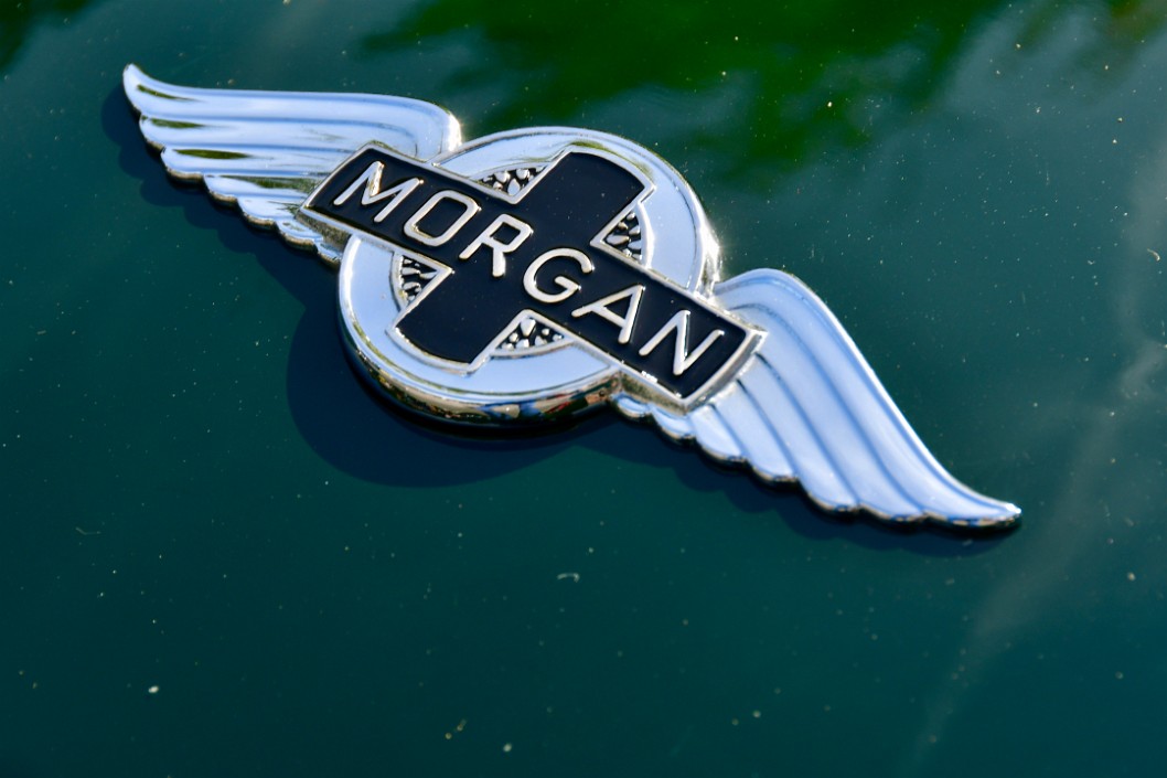 Morgan Wings