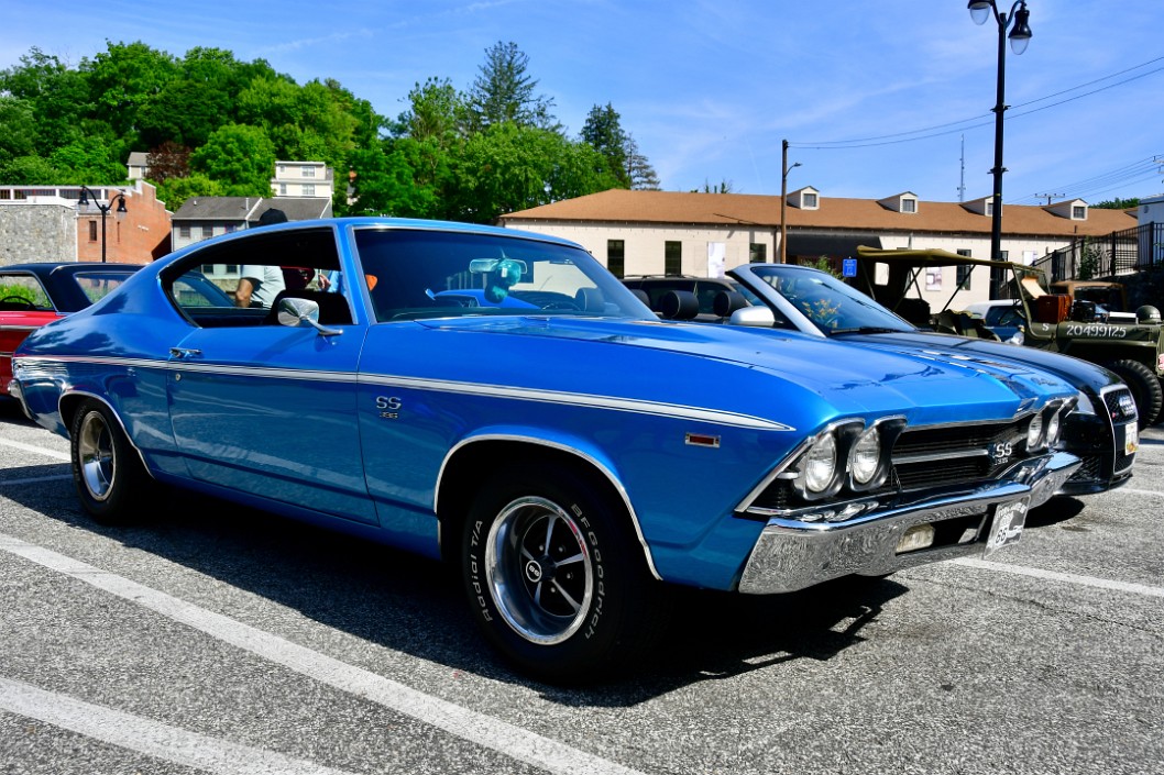 Muscle in Blue and White