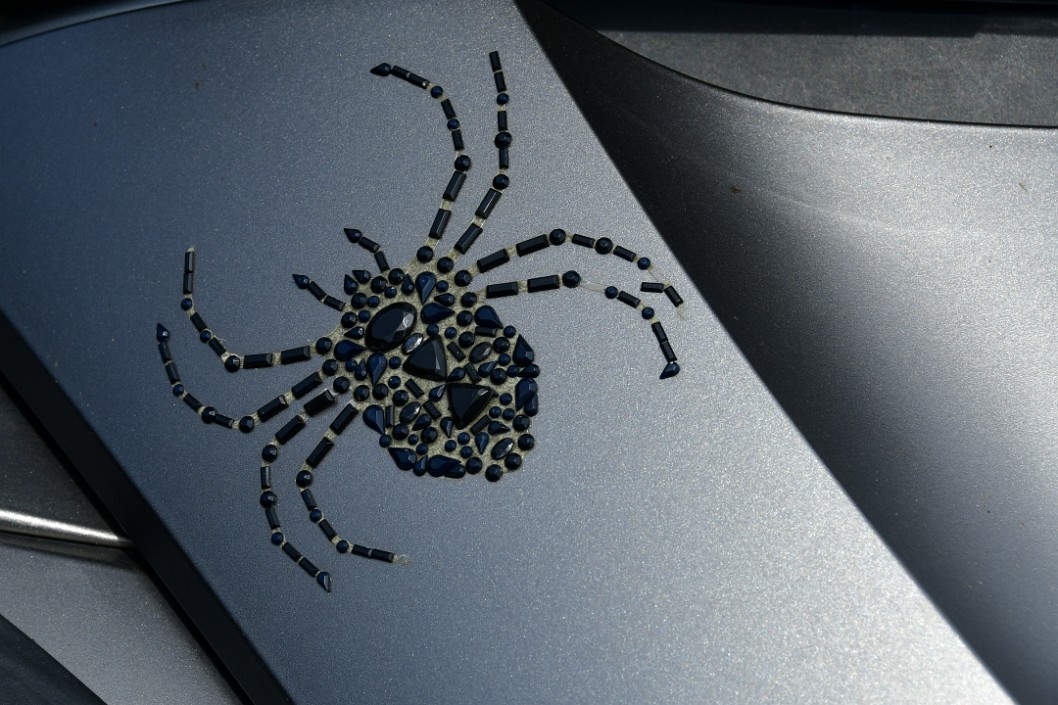 Textured Spider