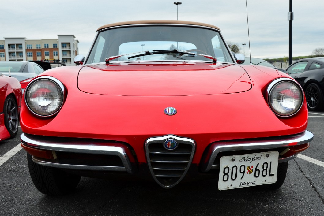 Eye to Eye With the Little Alfa Romeo Eye to Eye With the Little Alfa Romeo