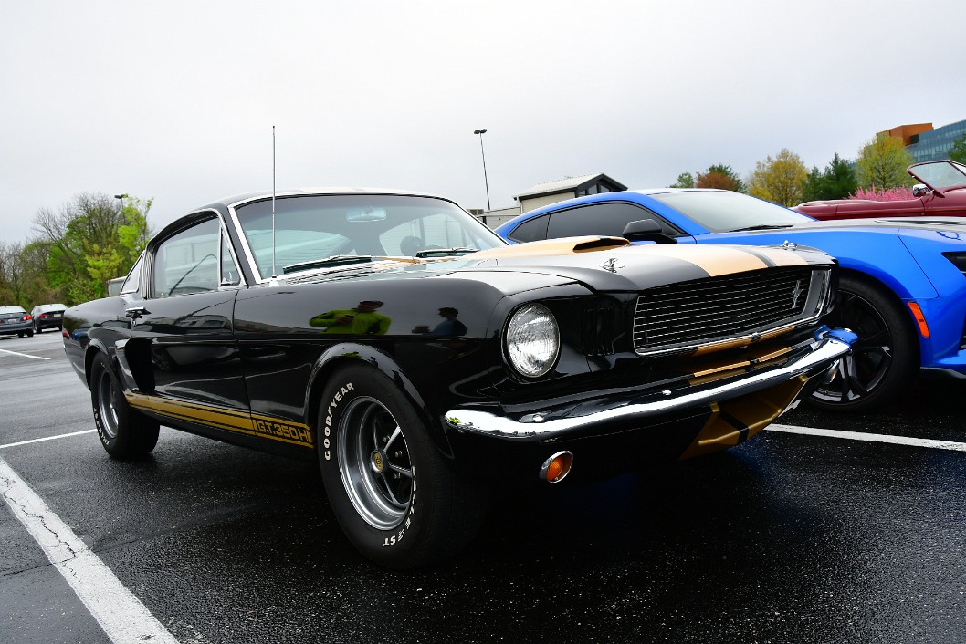 Classic Mustang GT 350H Lines