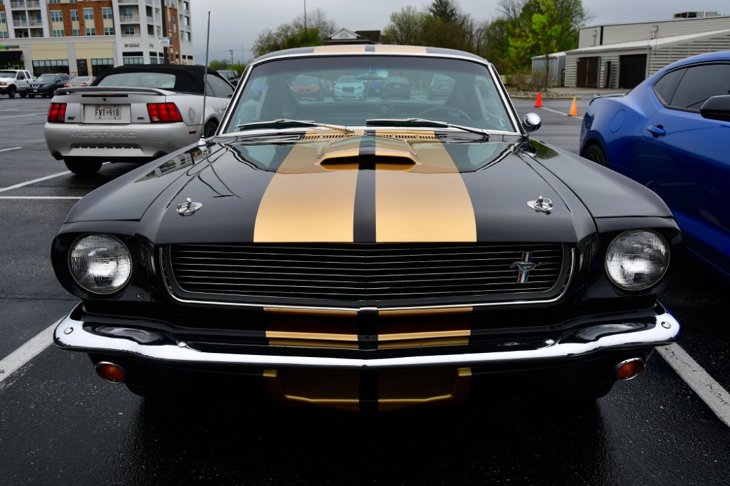Head On View of the Gold and Black Ford Mustang