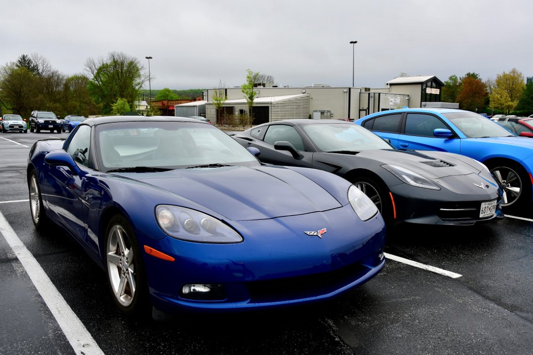 Blue and Black Corvettes