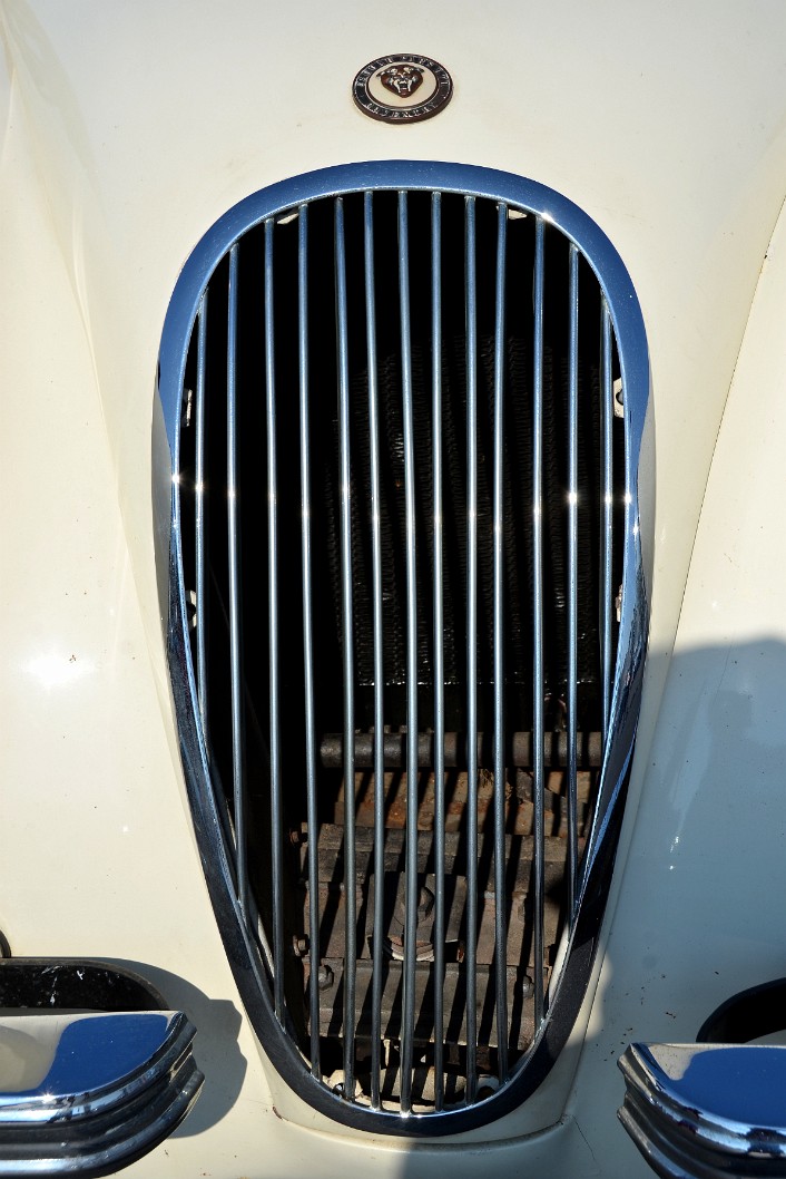 Lobed Grille Lobed Grille