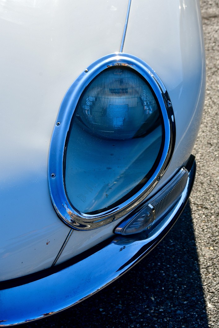 Curves and Lines on the Jag