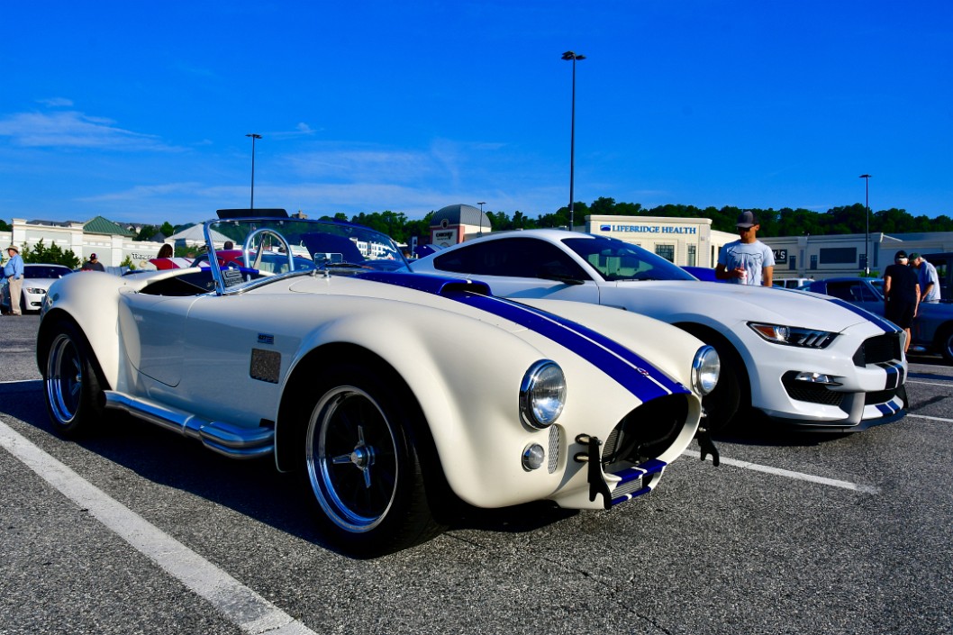 Two Fast Fords