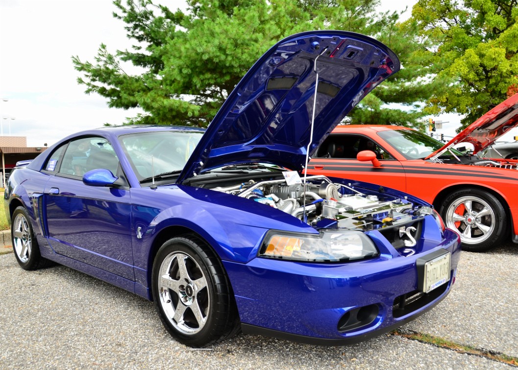 2003 Ford Mustang Cobra Coupe in Shocking Blue 2003 Ford Mustang Cobra Coupe in Shocking Blue