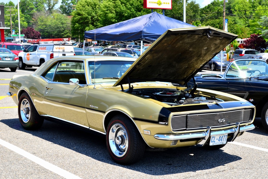 Gold Chevy Camaro SS Gold Chevy Camaro SS