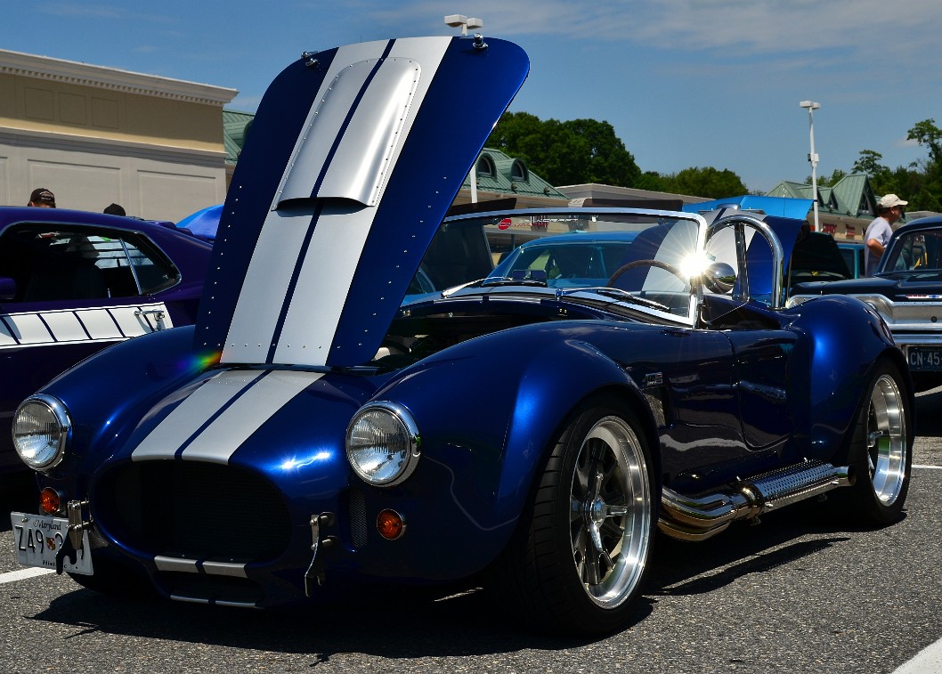 Cobalt Blue and Silver Cobra Cobalt Blue and Silver Cobra