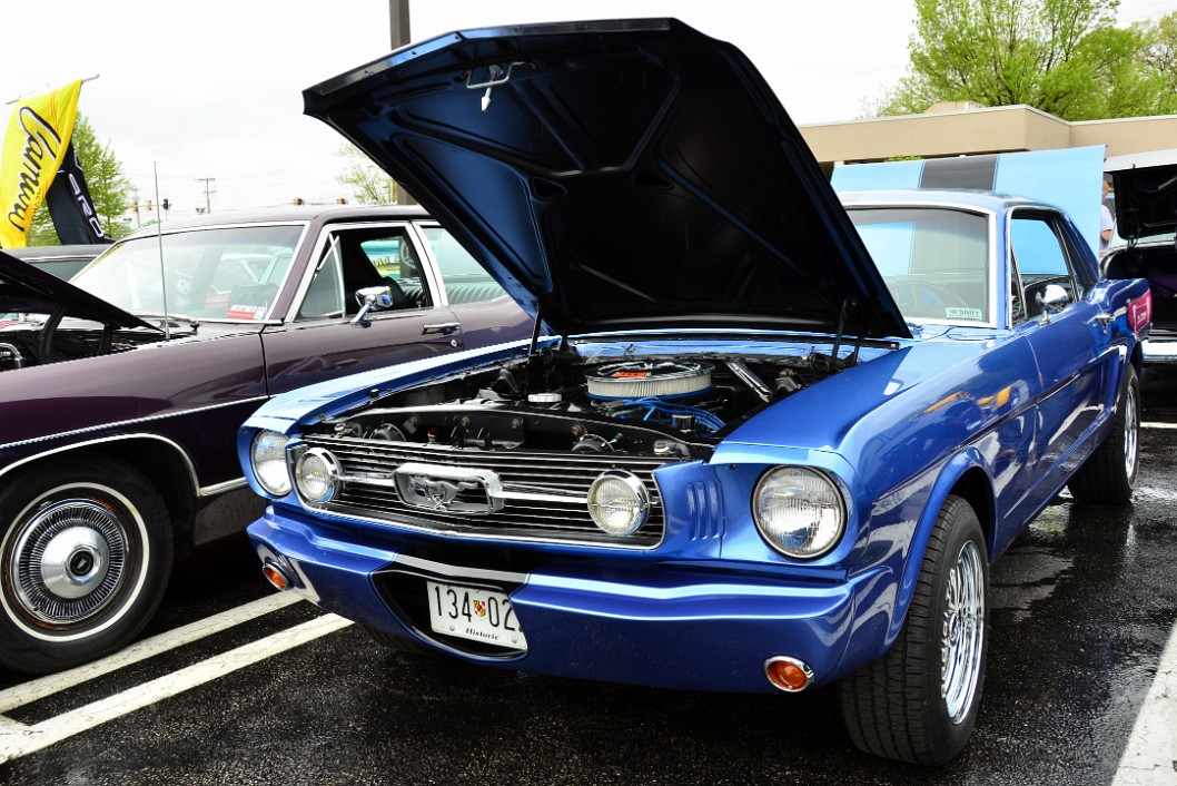 Classic Blue Mustang Classic Blue Mustang