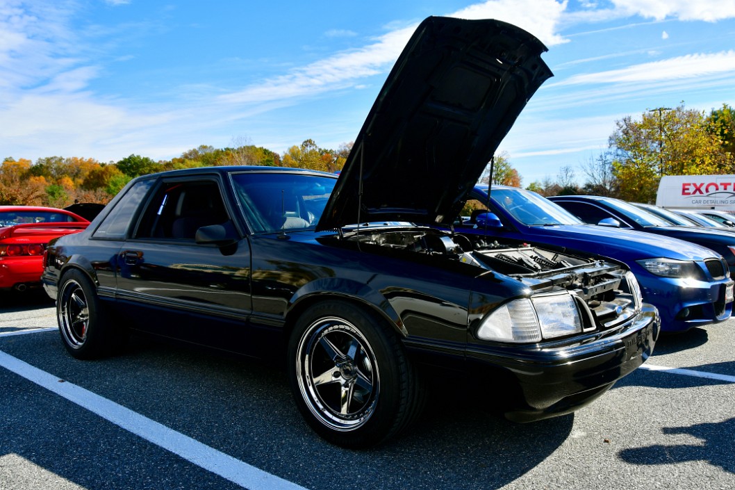 Powerful Ford Mustang in Black