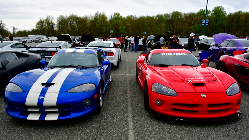 Double Vipers