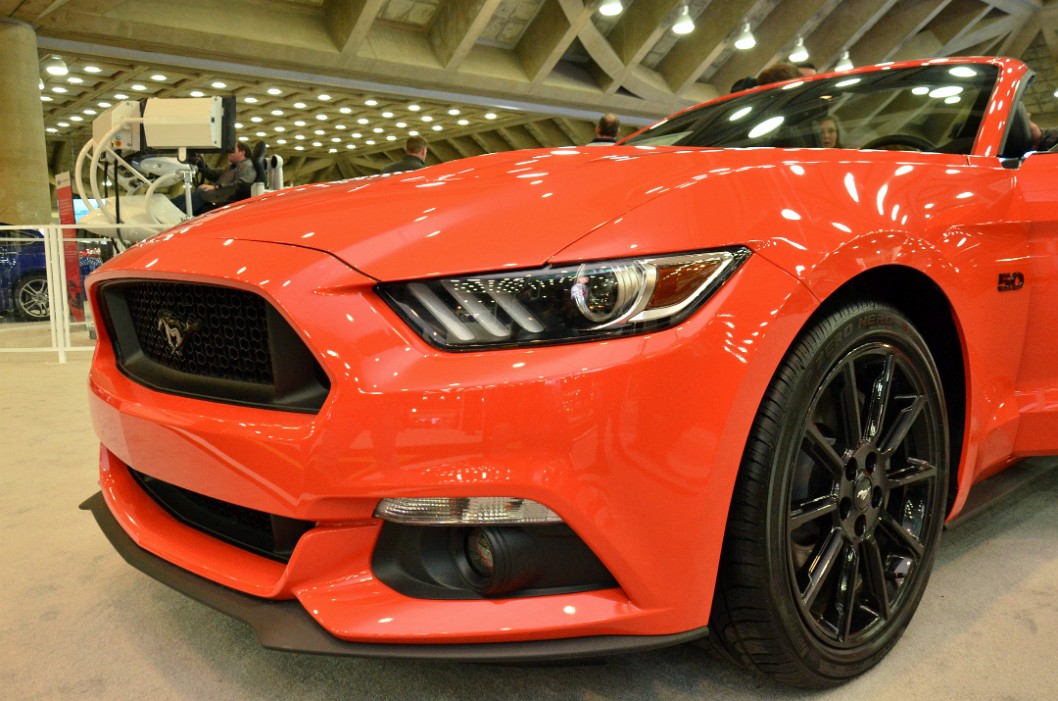 Mustang Front Mustang Front