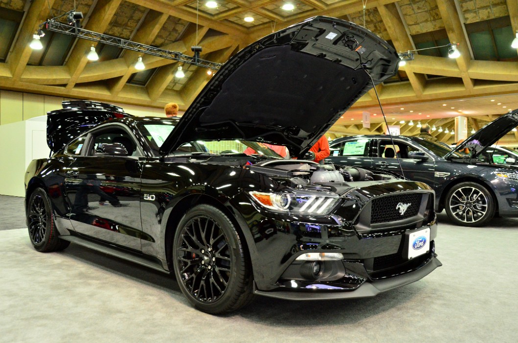 Big Black Mustang 5.0 Big Black Mustang 5.0