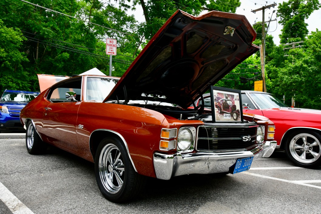 1971 Chevy Chevelle in Brown
