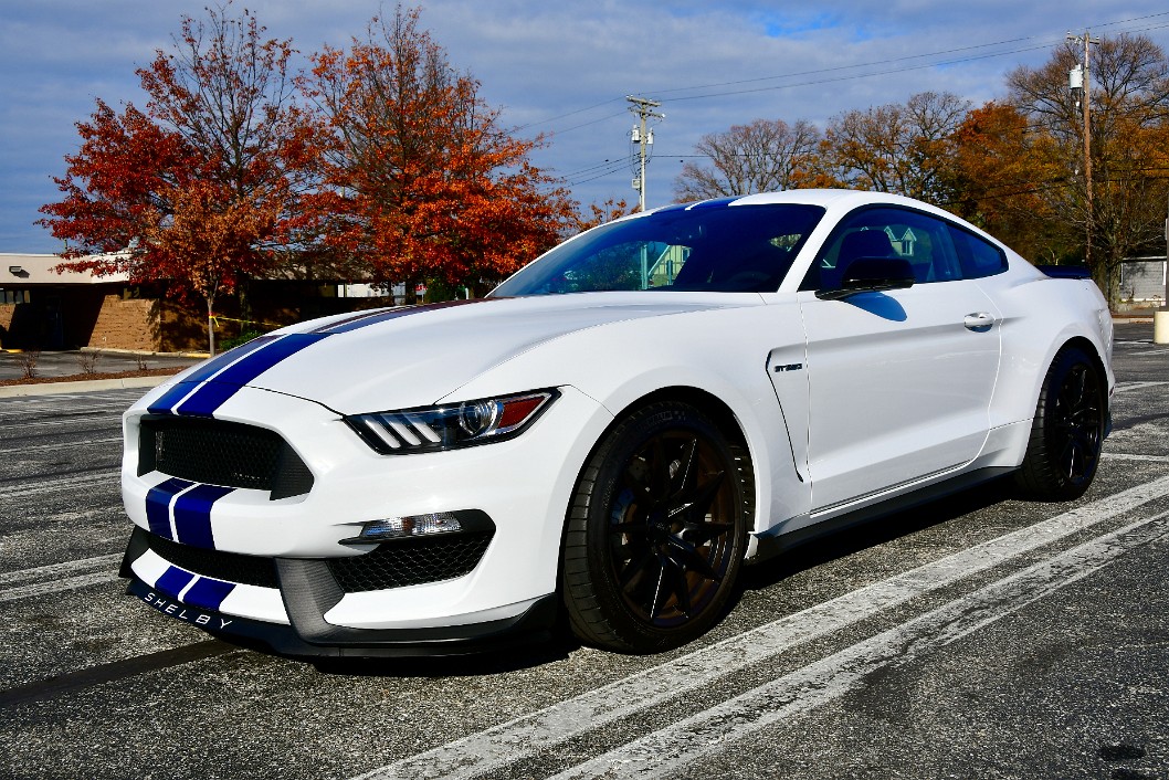 Shelby Mustang GT in White and Blue
