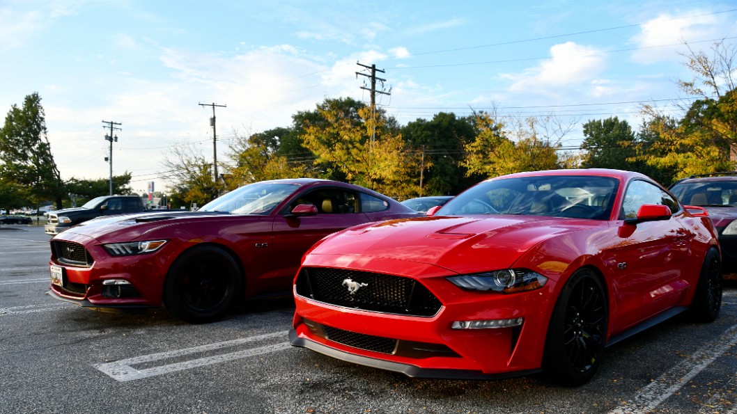 Two Red Mustangs