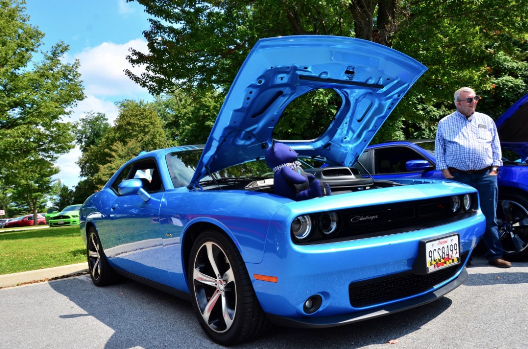 2015 Dodge Challenger RT in Blue
